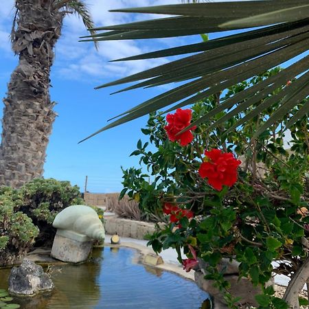 Little Paradise In El Medano 2 Granadilla De Abona Exterior photo